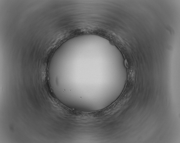 X0000115241012200911131659
