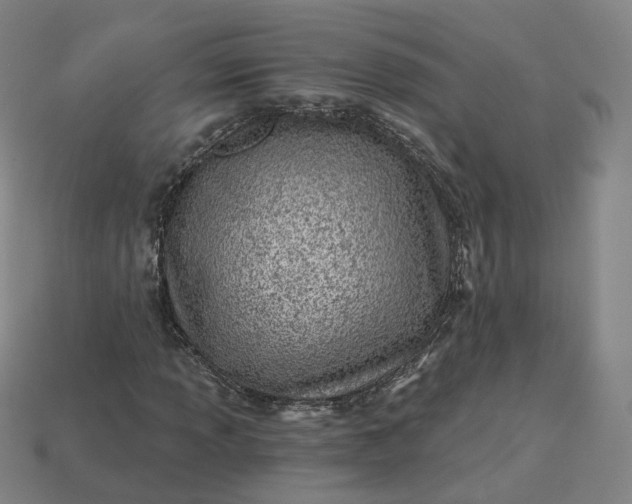 X0000115241013200911131659