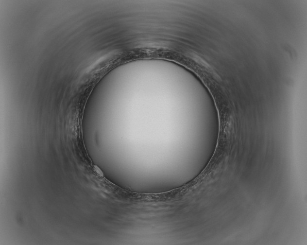X0000115241014200911131659