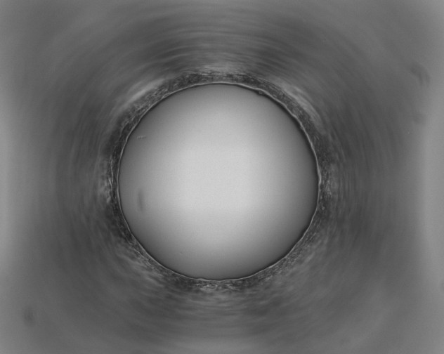 X0000115241015200911131700