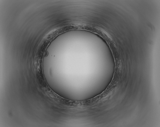X0000115241016200911131700