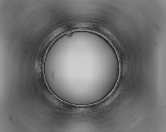 X0000115241017200911131700