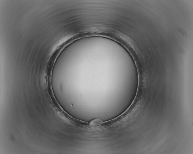 X0000115241018200911131700
