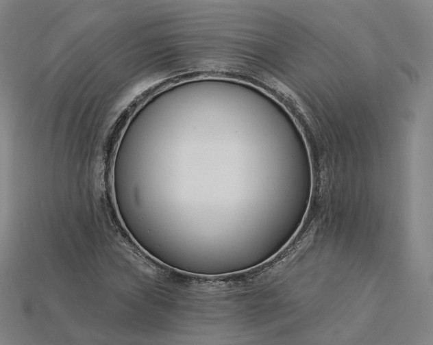 X0000115241019200911131700