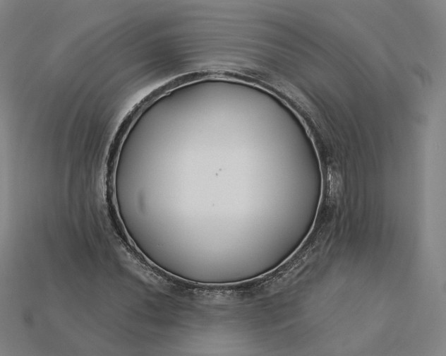 X0000115241020200911131700