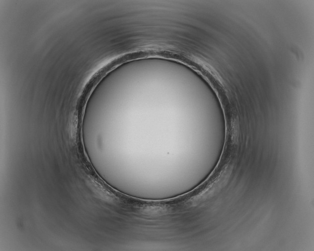 X0000115241021200911131700
