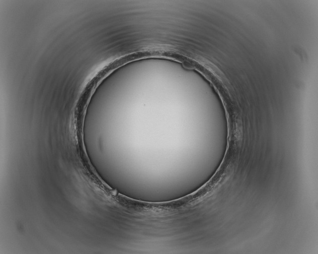 X0000115241022200911131700