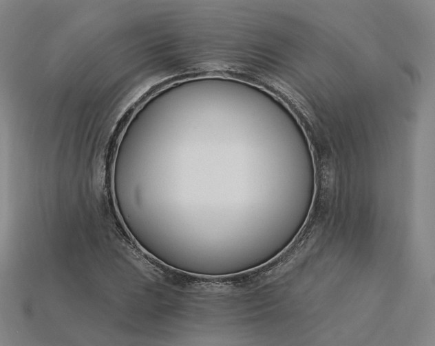 X0000115241023200911131700