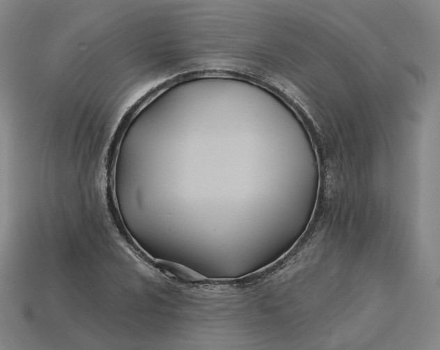 X0000115241024200911131700