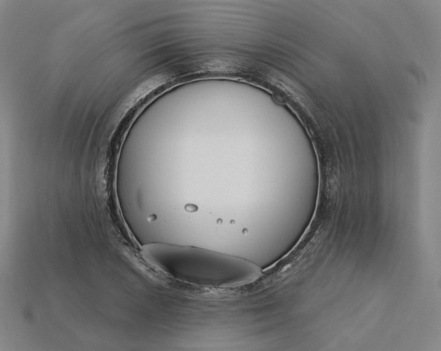 X0000115241026200911131700