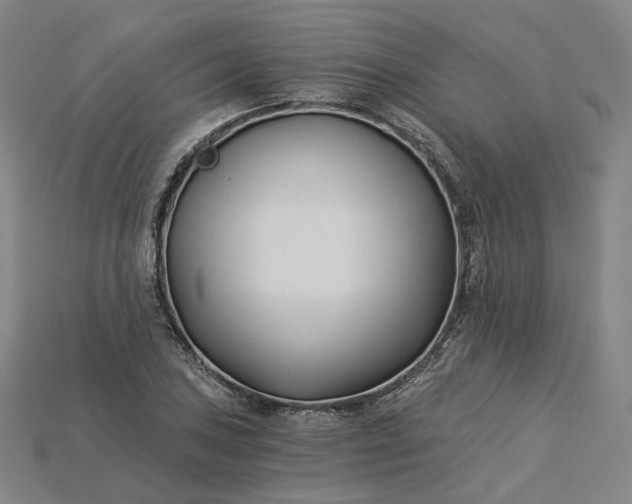 X0000115241027200911131700