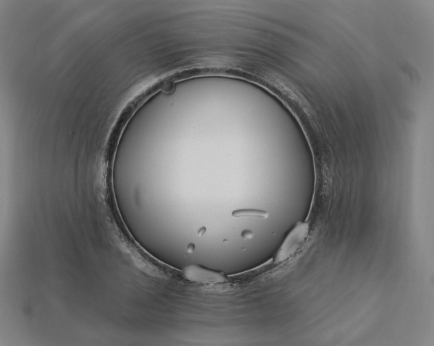 X0000115241029200911131700