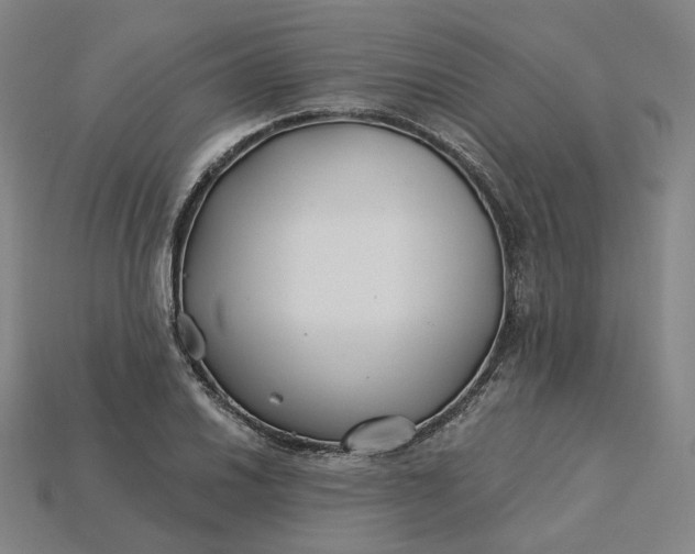 X0000115241030200911131700