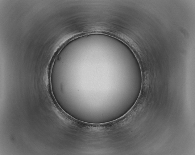 X0000115241031200911131700