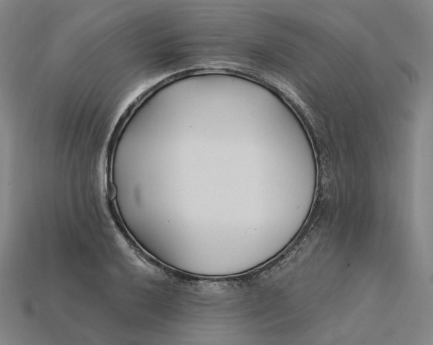 X0000115241032200911131700