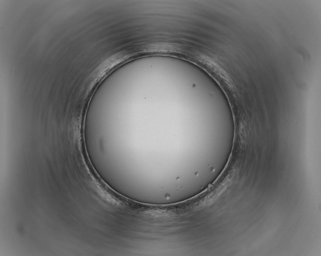 X0000115241033200911131700