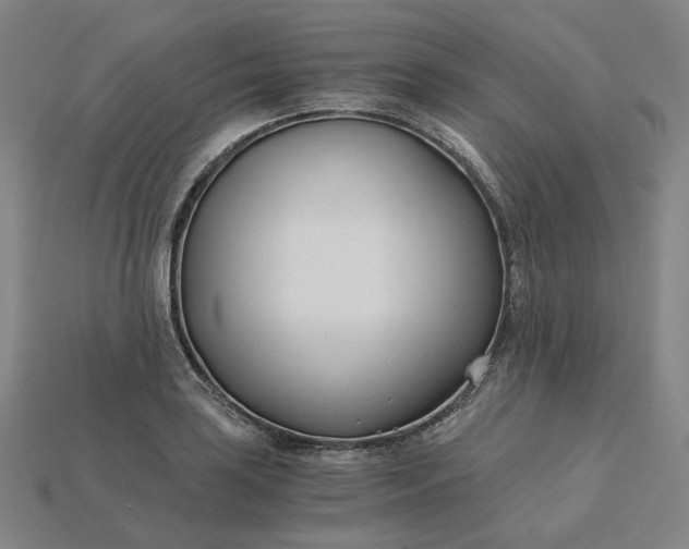 X0000115241035200911131700