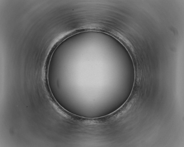 X0000115241037200911131700
