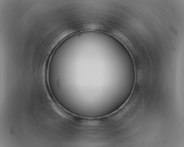 X0000115241039200911131700