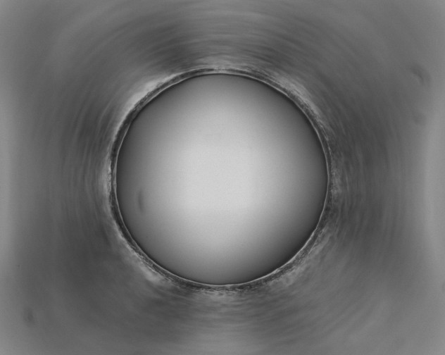 X0000115241040200911131700