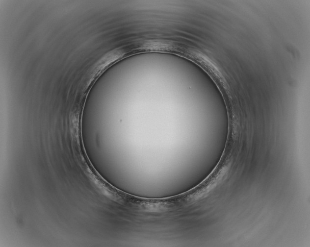 X0000115241041200911131700