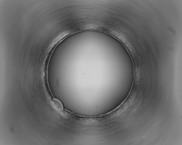 X0000115241042200911131700
