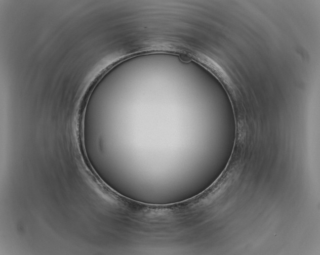 X0000115241043200911131700