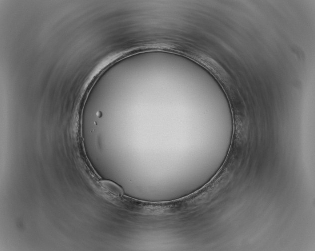 X0000115241044200911131700