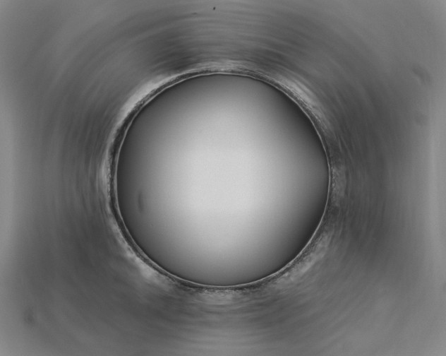 X0000115241046200911131700