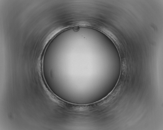 X0000115241047200911131700