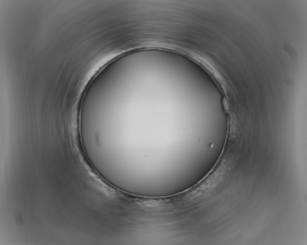 X0000115241048200911131700