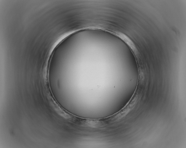 X0000115241052200911131700