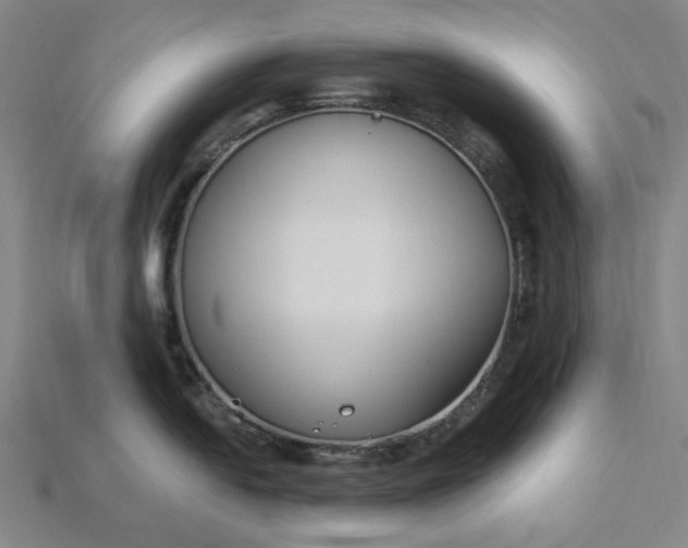 X0000115241054200911131700