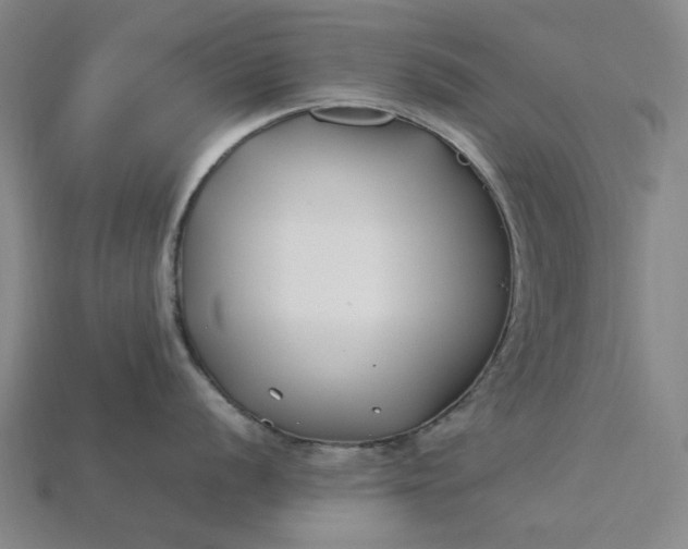 X0000115241056200911131700