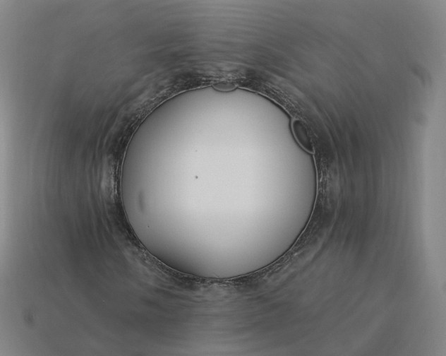 X0000115241058200911131659