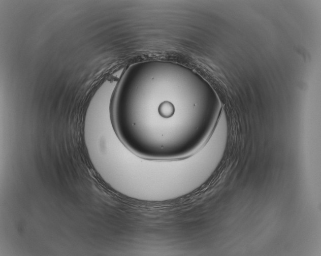 X0000115241060200911131659