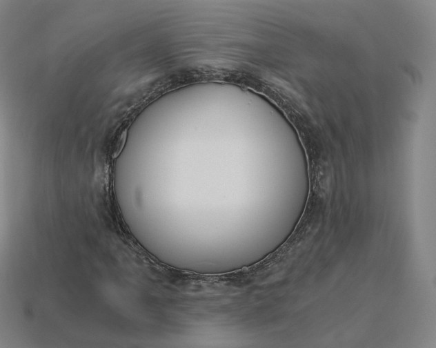 X0000115241061200911131659