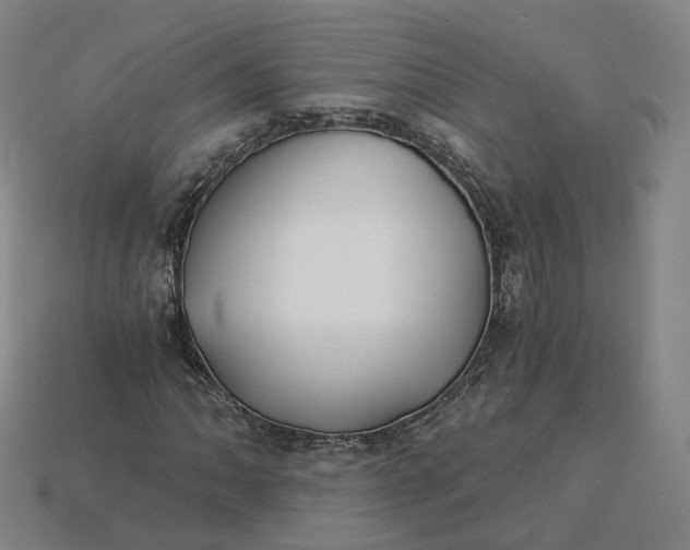 X0000115241062200911131659