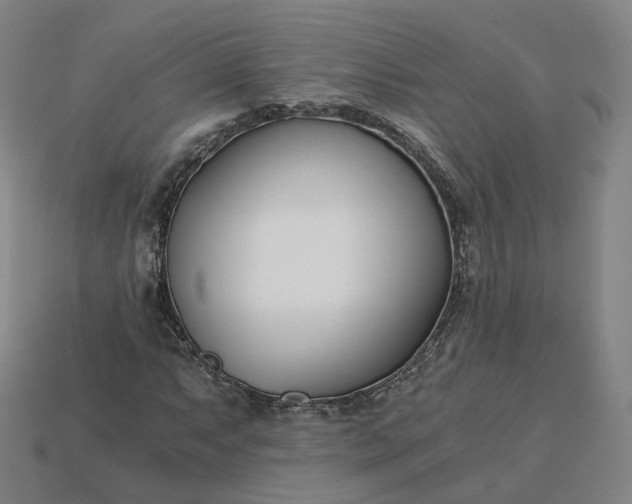 X0000115241063200911131659