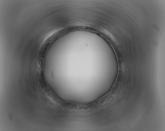 X0000115241064200911131659