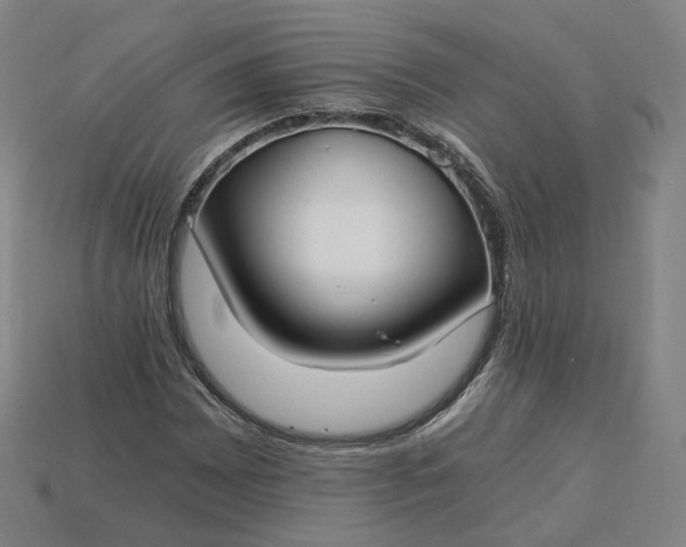 X0000115241065200911131659