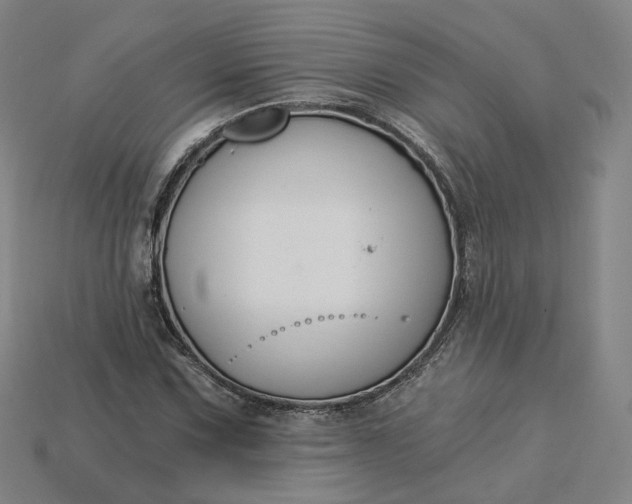 X0000115241067200911131659