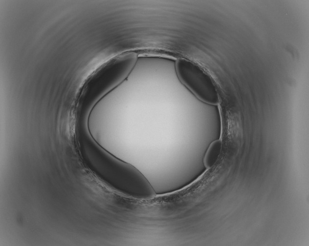 X0000115241069200911131659