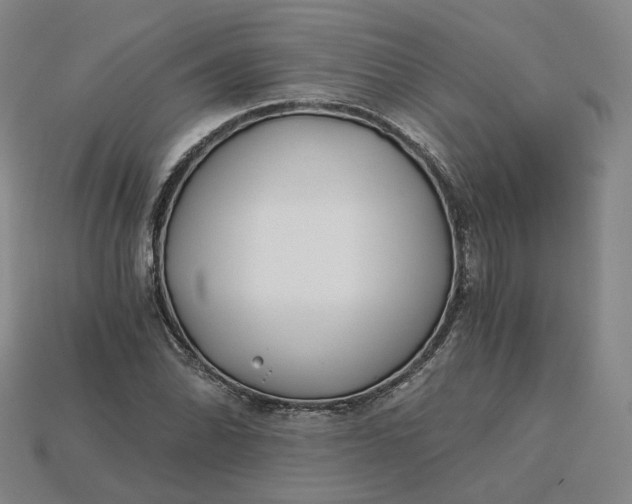 X0000115241070200911131659