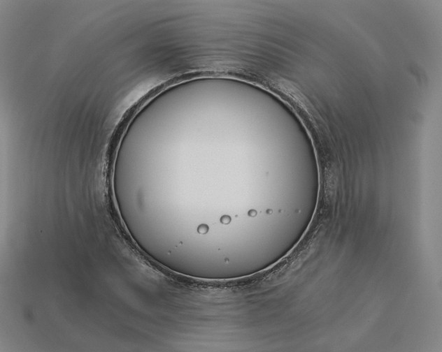 X0000115241071200911131659