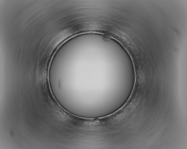 X0000115241073200911131659