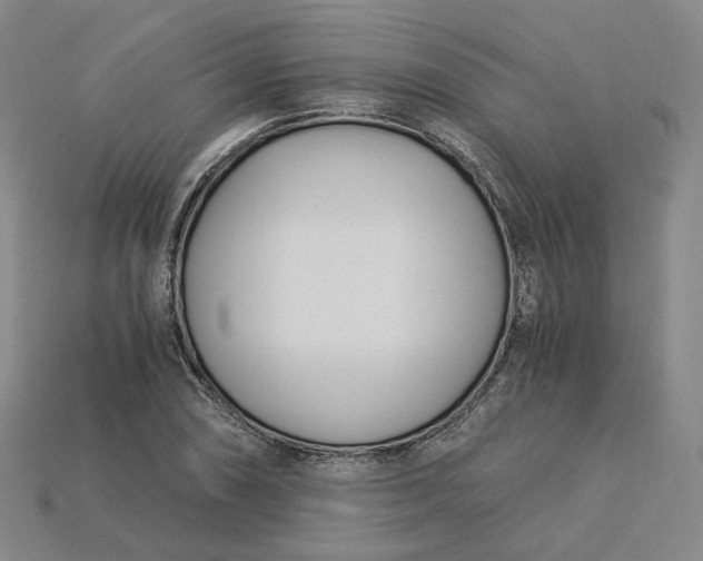 X0000115241074200911131659