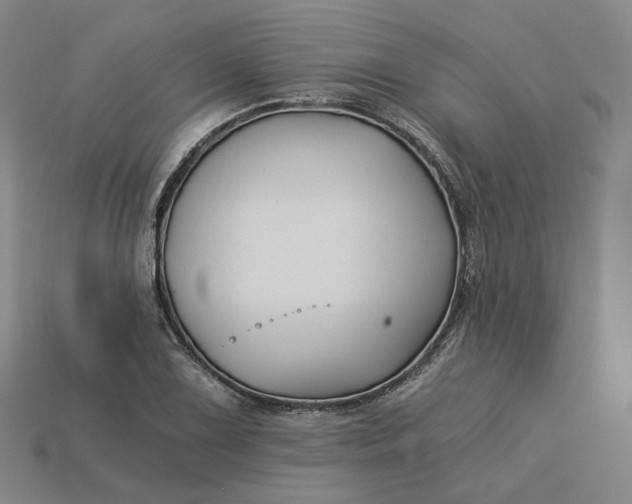 X0000115241075200911131659