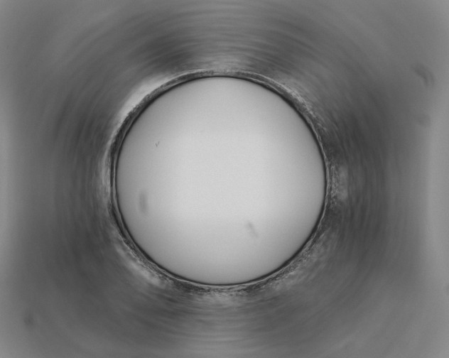 X0000115241078200911131659