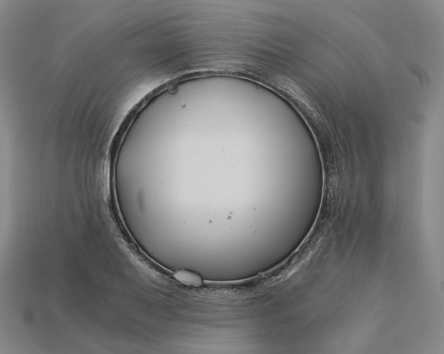 X0000115241079200911131659